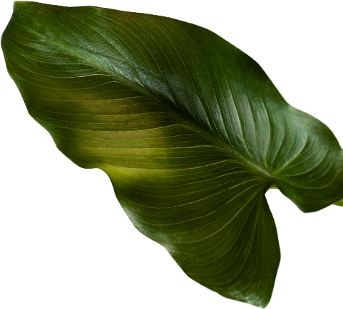 why-choose-two-shape-3 why-choose-two-shape-3